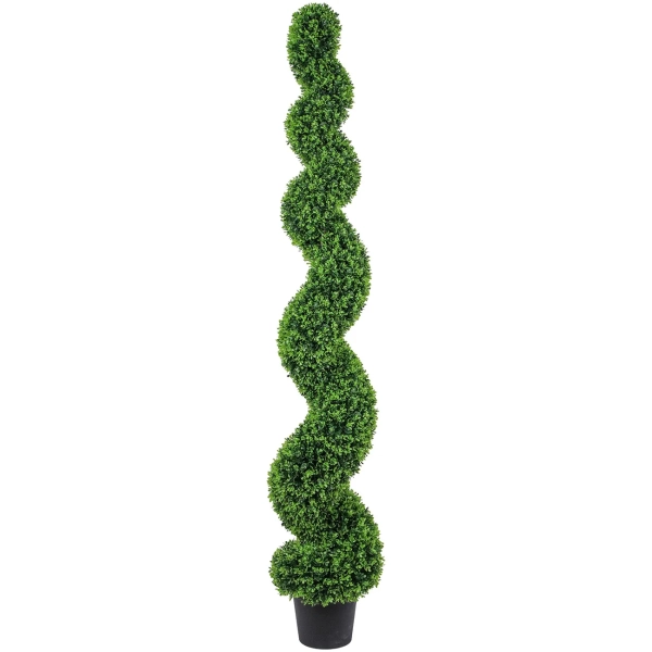 SPIRALNE DRZEWKO BUKSZPANOWE W DONICZCE 180CM