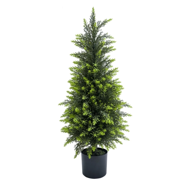 CYPRYS W DONICZCE 90CM