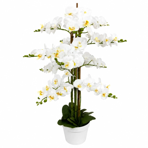 STORCZYK W DONICZCE 127 CM