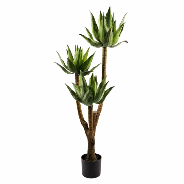 PALMA ALOESOWA W DONICZCE 150CM