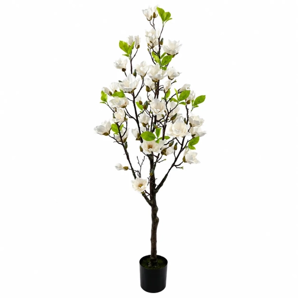 DRZEWKO MAGNOLII W DONICZCE 150CM