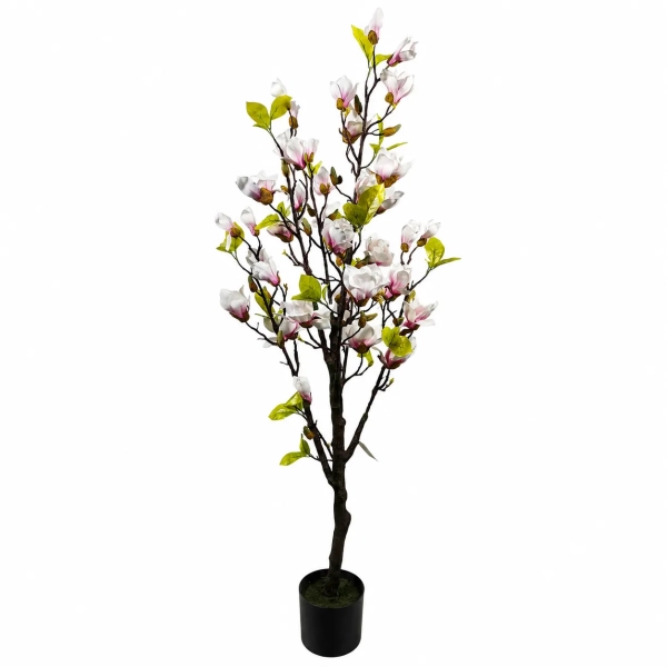 DRZEWKO MAGNOLII W DONICZCE 150CM