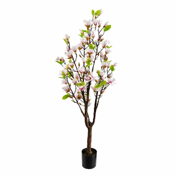 DRZEWKO MAGNOLII W DONICZCE 180CM