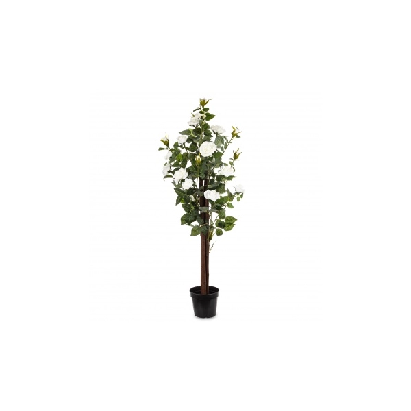DRZEWKO RÓŻANE W DONICZCE 135CM