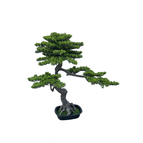 BONSAI W DONICZCE 110CM
