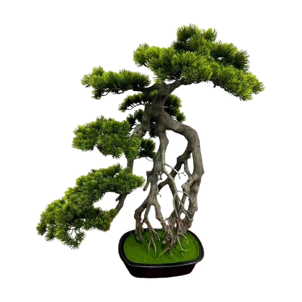 BONSAI W DONICZCE 74CM