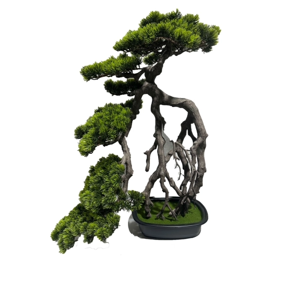 BONSAI W DONICZCE 74CM