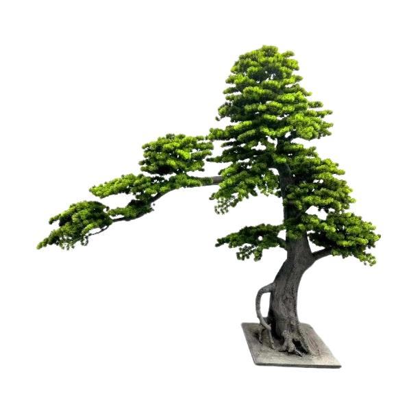 BONSAI W DONICZCE 260CM