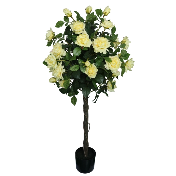 DRZEWKO RÓŻANE W DONICZCE 80CM