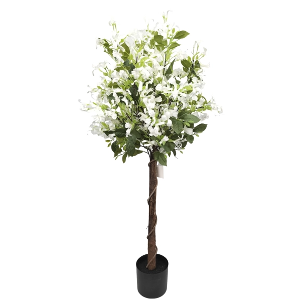 DRZEWKO WICIOKRZEW W DONICZCE 120CM
