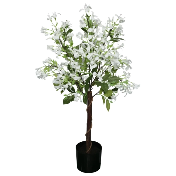 DRZEWKO WICIOKRZEW W DONICZCE 90CM