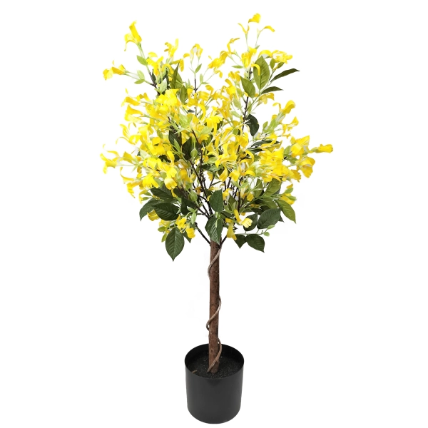 DRZEWKO WICIOKRZEW W DONICZCE 90CM