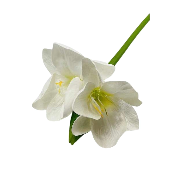 KWIAT AMARYLISA BIAŁY 73CM