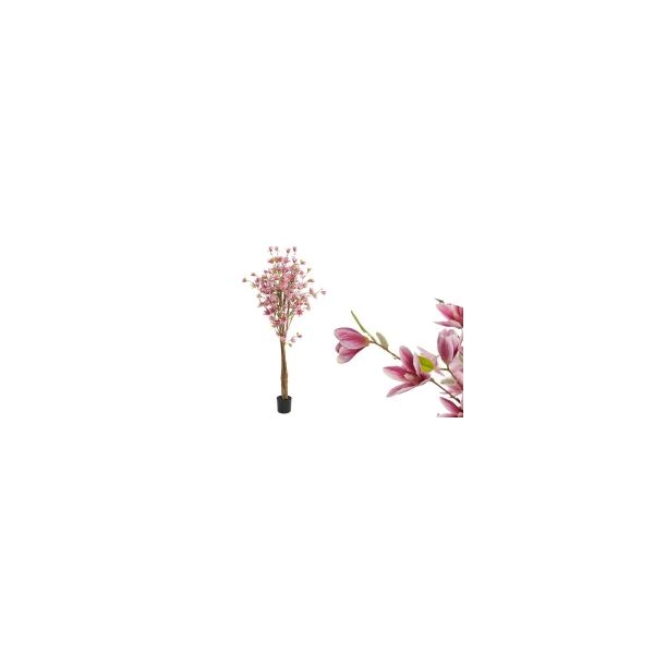 DRZEWKO MAGNOLII W DONICZCE 150CM
