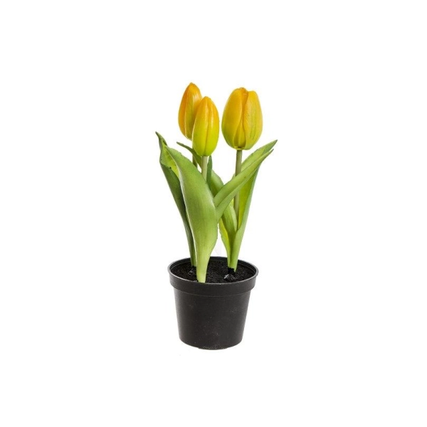 TULIPANY GUMOWANE W DONICZCE