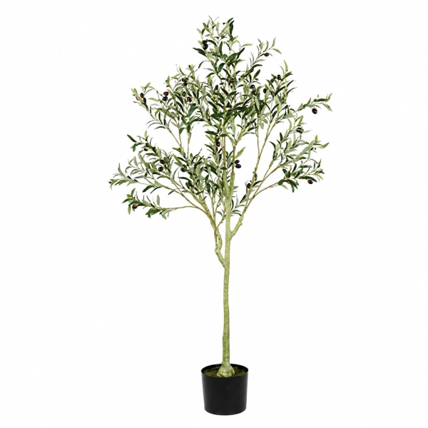 DRZEWO OLIWNE W DONICZCE 150CM