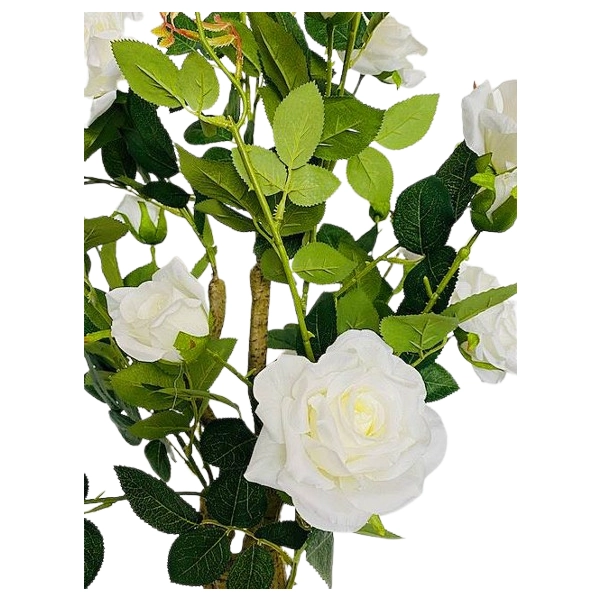 DRZEWO RÓŻANE W DONICZCE 90CM