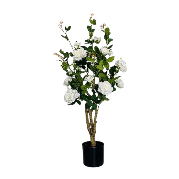 DRZEWO RÓŻANE W DONICZCE 90CM