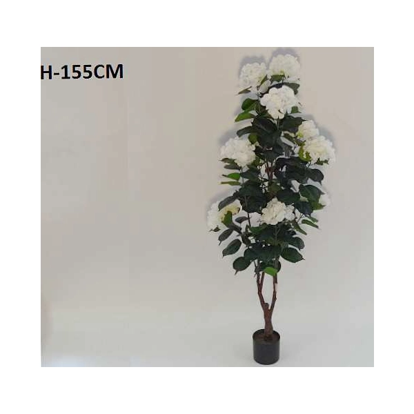 HORTENSJA W DONICZCE 155CM