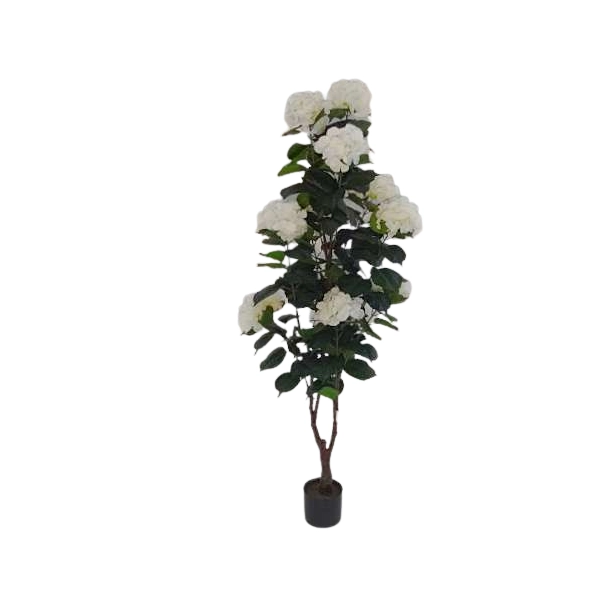 HORTENSJA W DONICZCE 155CM