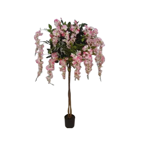 WISTERIA W DONICZCE 180CM