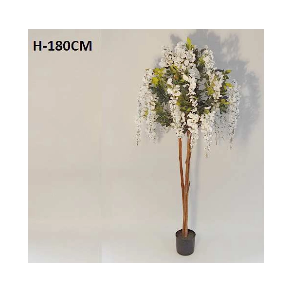 WISTERIA W DONICZCE 180CM