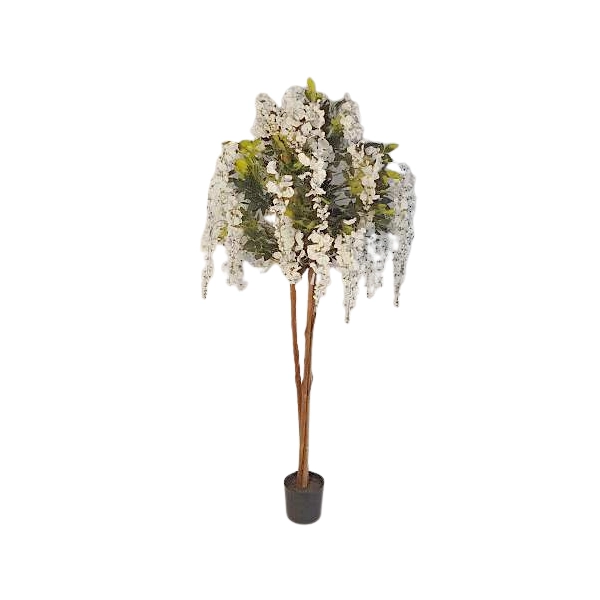 WISTERIA W DONICZCE 180CM