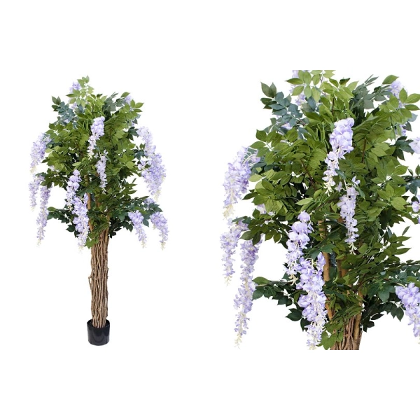 DRZEWKO WISTERIA W DONICZCE 180CM