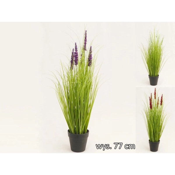TRAWA DEKORACYJNA 77CM