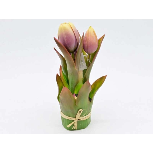 TULIPANY GUMOWANE W DONICZCE