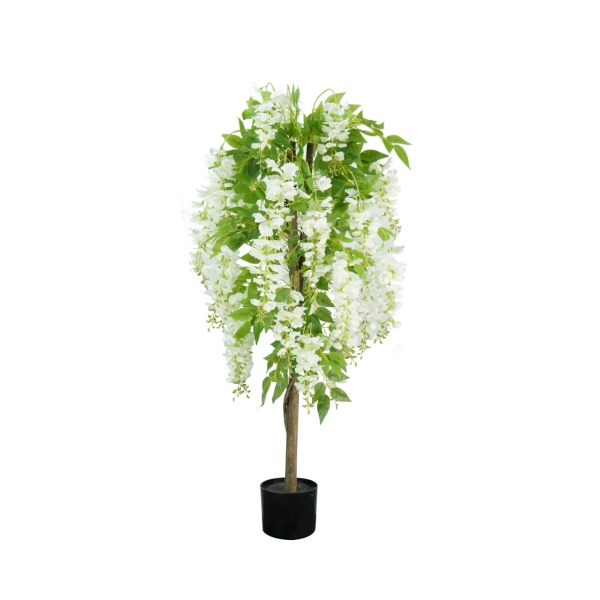 WISTERIA W DONICZCE 120CM